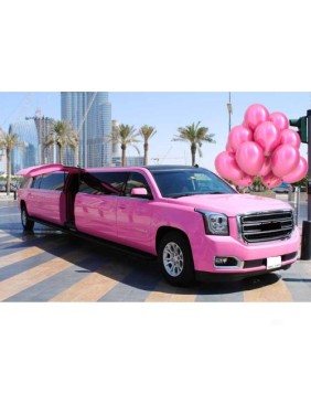 Limo Birthday Party Pink For Her