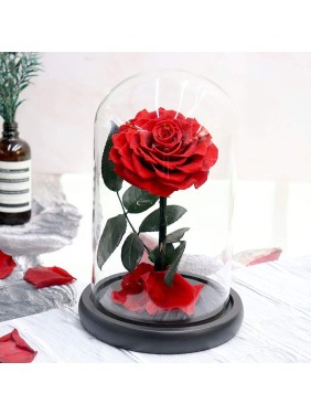 Romantic Forever Red Rose — Valentine's day gift, Rose in glass dome