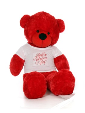 Valentines-Teddy Bear with T-Shirt