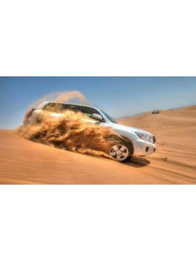 Desert Safari Experience