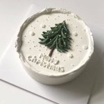 Merry Christmas Bento Cake - 500g Winter Snow Theme