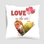 Personalized LOVE Cushion